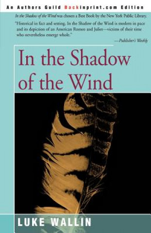 Βιβλίο In the Shadow of the Wind Luke Wallin