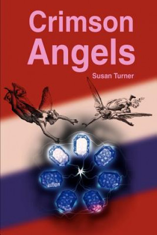 Kniha Crimson Angels Susan Turner