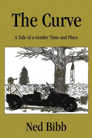 Книга Curve Ned Bibb