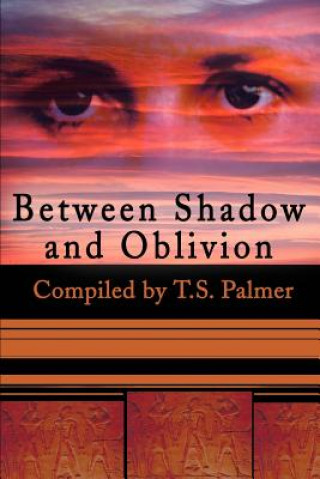 Knjiga Between Shadow and Oblivion T. S. Palmer