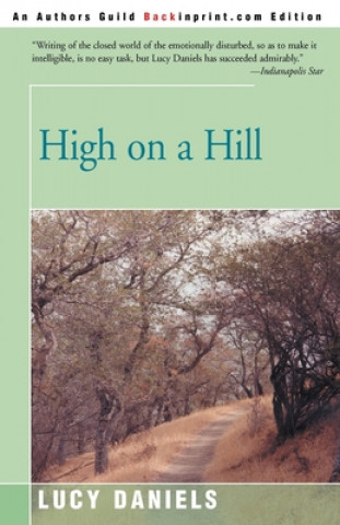 Kniha High on a Hill Lucy Daniels
