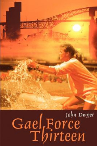 Book Gael Force Thirteen John Dwyer