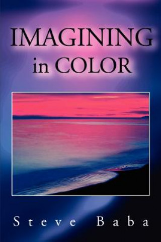 Libro Imagining in Color Steve Baba