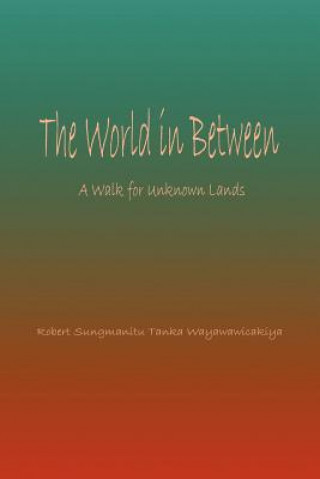 Kniha World in Between Tanka Wayawawicakiya