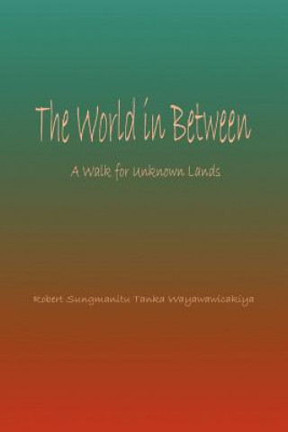 Carte World in Between Tanka Wayawawicakiya