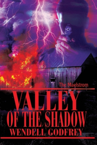 Buch Valley of the Shadow Wendell Godfrey