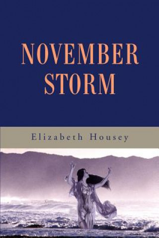 Könyv November Storm Elizabeth Housey