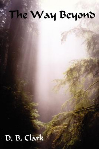 Book Way Beyond D B Clark