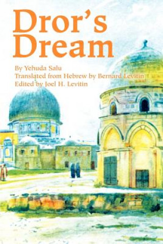 Knjiga Dror's Dream Martin A Levitin