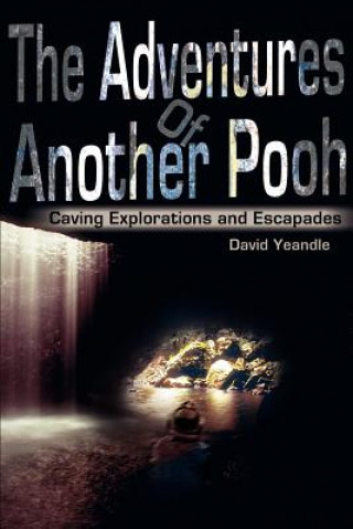 Kniha Adventures Of Another Pooh David Yeandle