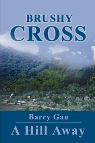Könyv Brushy Cross Barry Gau