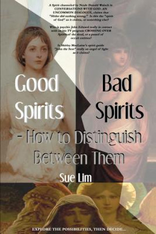 Könyv Good Spirits, Bad Spirits Sue Lim