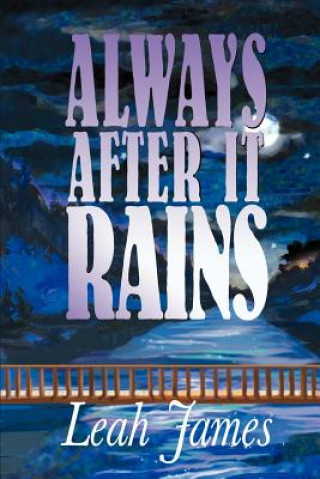 Book Always After it Rains Susan (North East Lincolnshire Council) Simpson