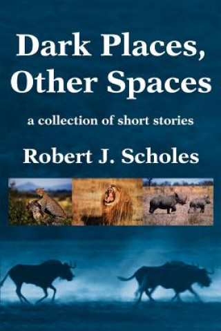 Книга Dark Places, Other Spaces Robert J Scholes