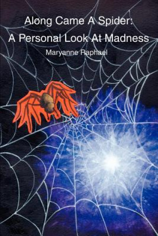 Buch Along Came A Spider Maryanne Raphael