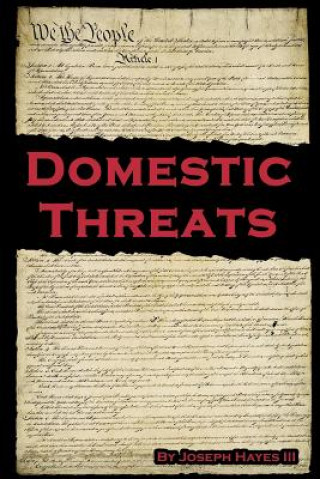 Buch Domestic Threats III Joseph Hayes