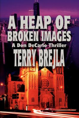 Könyv Heap of Broken Images Terry Brejla