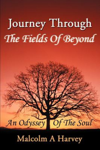 Buch Journey Through The Fields Of Beyond Malcolm A Harvey