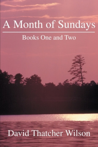 Βιβλίο Month of Sundays David T Wilson