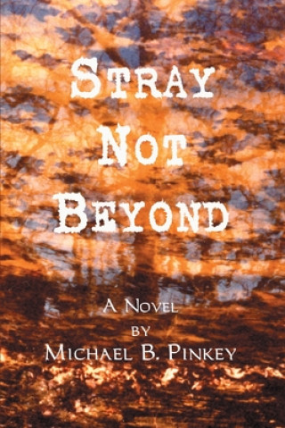 Kniha Stray Not Beyond Michael B Pinkey