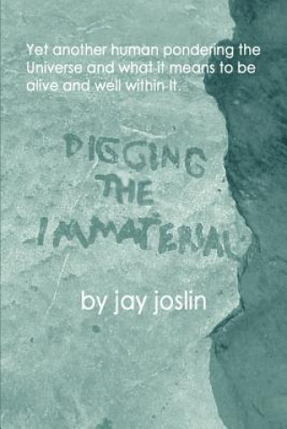 Libro Digging the Immaterial Jay Joslin