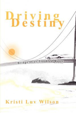 Livre Driving Destiny Kristi Luv Wilson