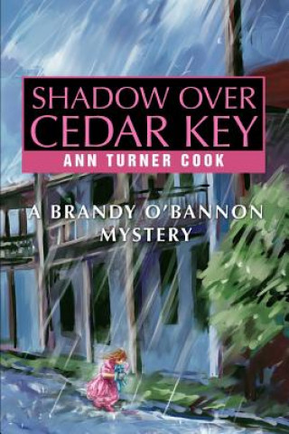 Könyv Shadow Over Cedar Key Ann Turner Cook