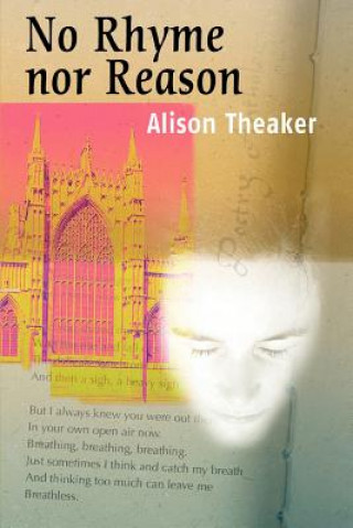 Kniha No Rhyme Nor Reason Alison Theaker