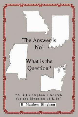 Книга Answer is No! What is the Question? B Matthew Bingham