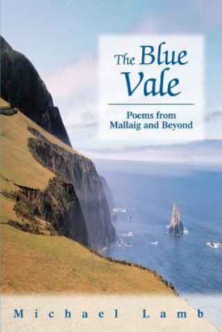 Buch Blue Vale Michael Lamb