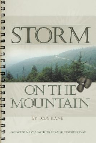 Книга Storm on the Mountain Toby Kane