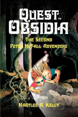 Książka Quest to Obsidia Marylee A Kelly
