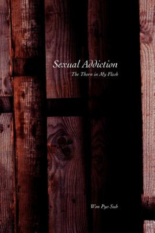 Kniha Sexual Addiction Won Pyo Suh