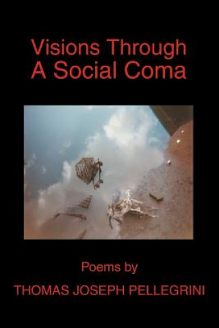 Книга Visions Through A Social Coma Thomas Joseph Pellegrini