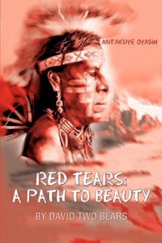 Book Red Tears David Two Bears