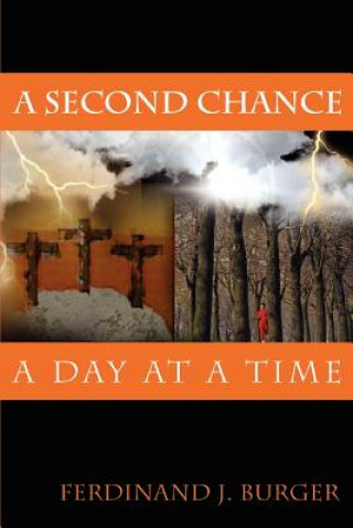 Book Second Chance Ferdinand J Burger