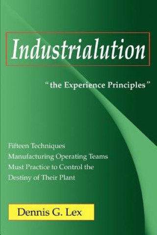 Könyv Industrialution Dennis G Lex