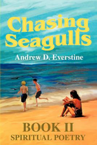 Kniha Chasing Seagulls Andrew D Everstine