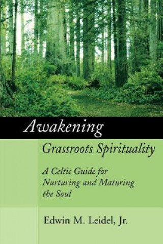 Book Awakening Grassroots Spirituality Jr Edwin M Leidel