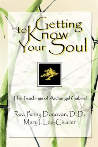 Książka Getting To Know Your Soul Rev Penny Donovan DD