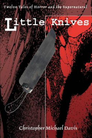 Książka Little Knives Christopher Michael Davis