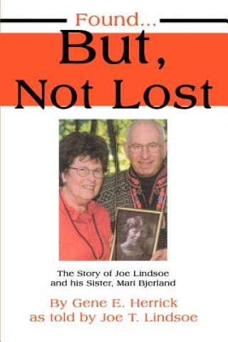 Knjiga Found...But, Not Lost Joe T Lindsoe