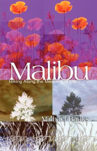 Książka Malibu Michael Banks