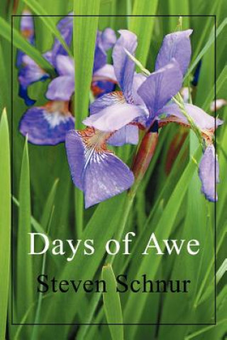 Libro Days of Awe Steven Schnur