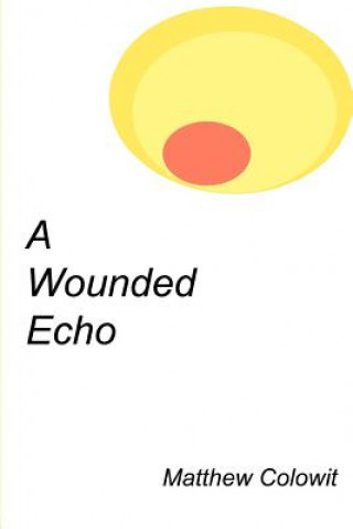 Buch Wounded Echo Matthew Colowit