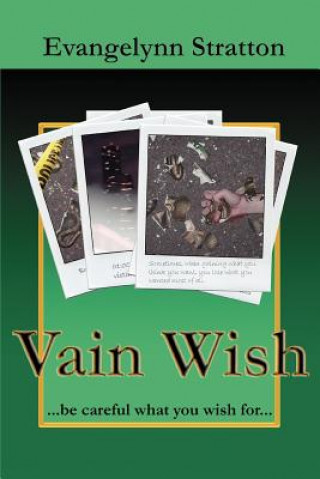 Buch Vain Wish Evangelynn Stratton