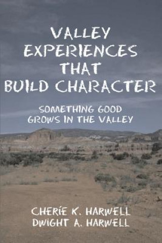 Carte Valley Experiences That Build Character Cherie K Harwell