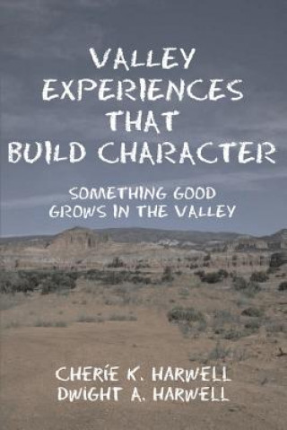 Knjiga Valley Experiences That Build Character Cherie K Harwell