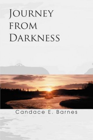 Kniha Journey from Darkness Candace E Barnes