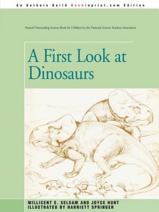 Kniha First Look at Dinosaurs Joyce Hunt